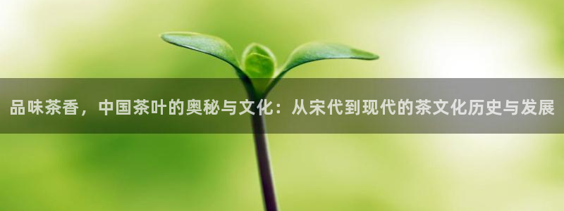彩名堂图片