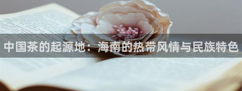 彩名堂的拼音
