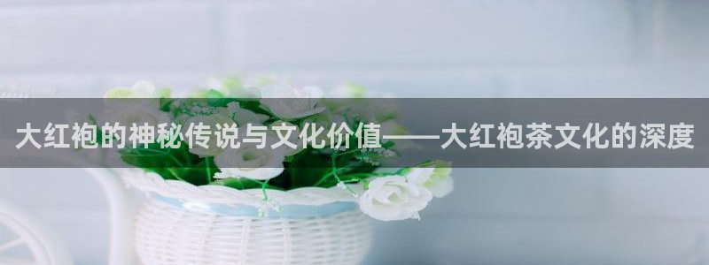 彩名堂01计划