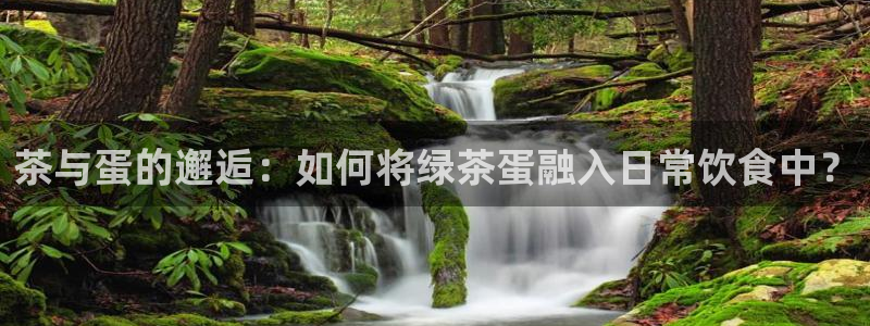 彩名堂01计划