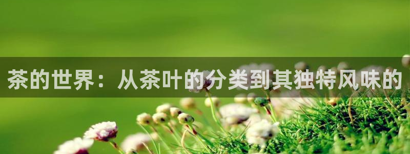 彩名堂手机客户端怎么下载