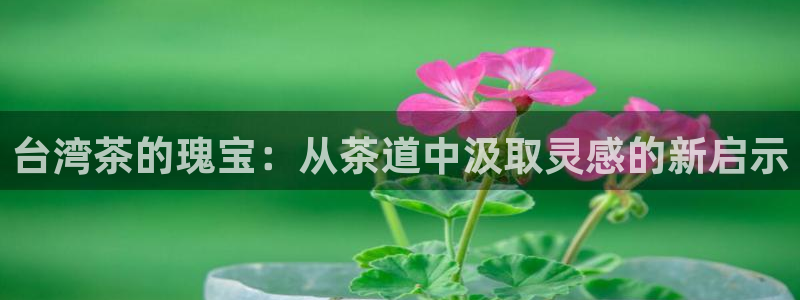 彩名堂一直不出结果怎么回事