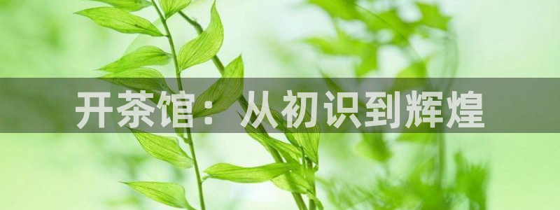 彩名堂官网计划客户端