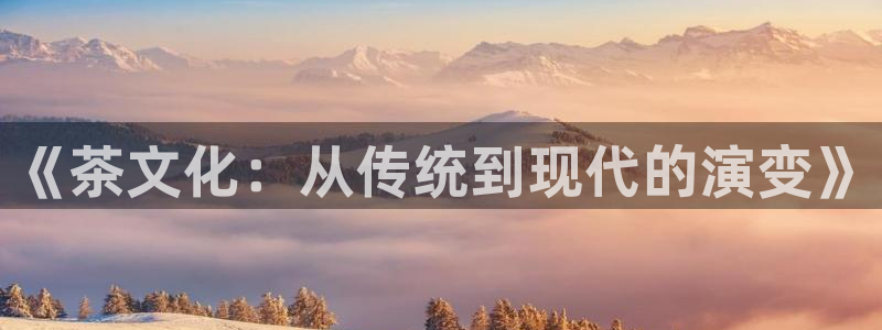 彩名堂计划最新版手机版