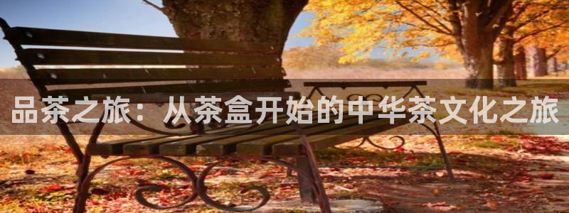 彩名堂不能用了吗