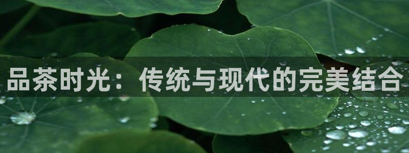 彩名堂怎么跟计划才不连挂