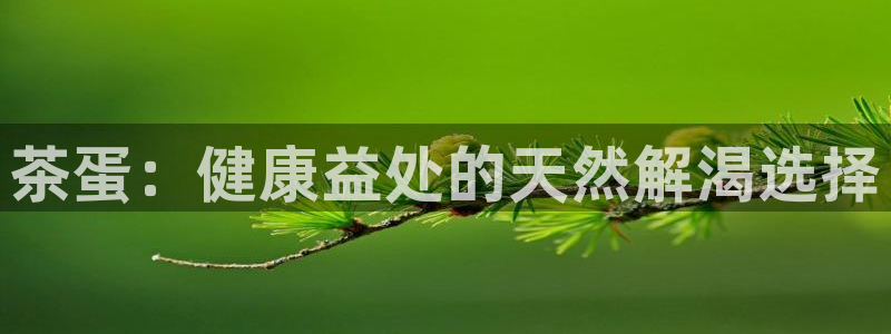 彩名堂官网网页计划