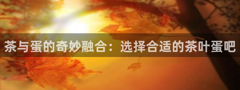 彩名堂官网网页计划