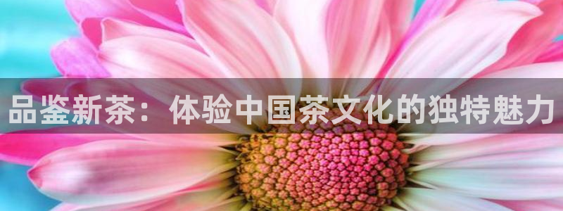 彩名堂app官方下载