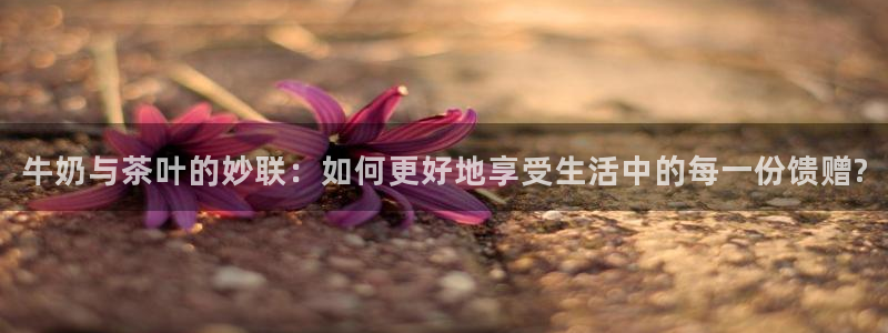 彩名堂还能用吗