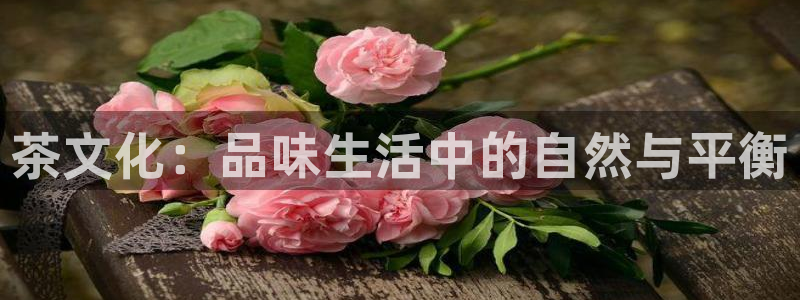 彩名堂怎么买准确率高一点