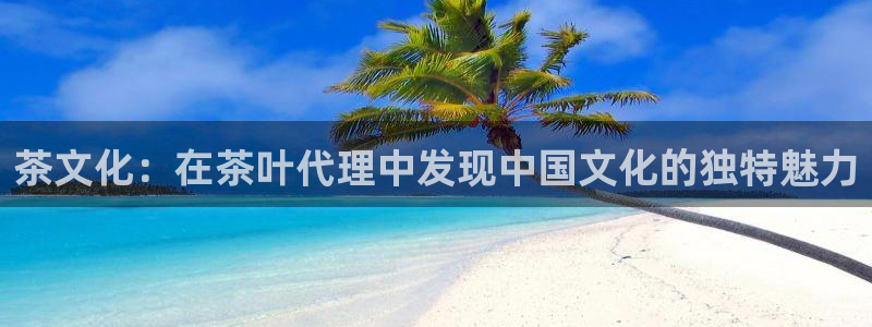 彩名堂免费计划亮点