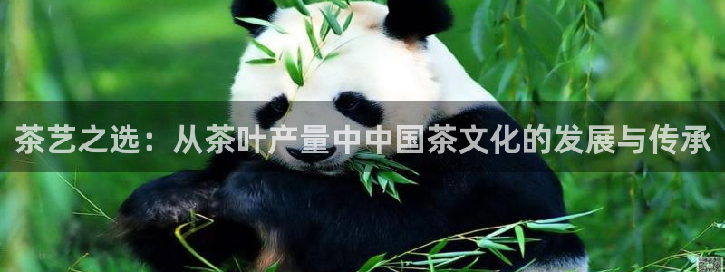 彩名堂预测免费计划