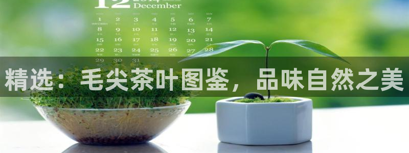 最新彩名堂计划