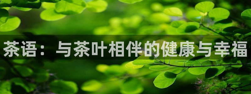 彩名堂排三