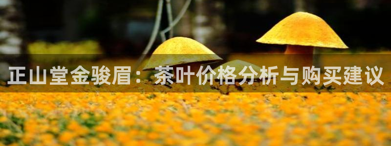 彩名堂计划app安卓免费下载