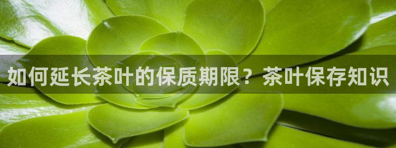 如何进入彩名堂官网更新