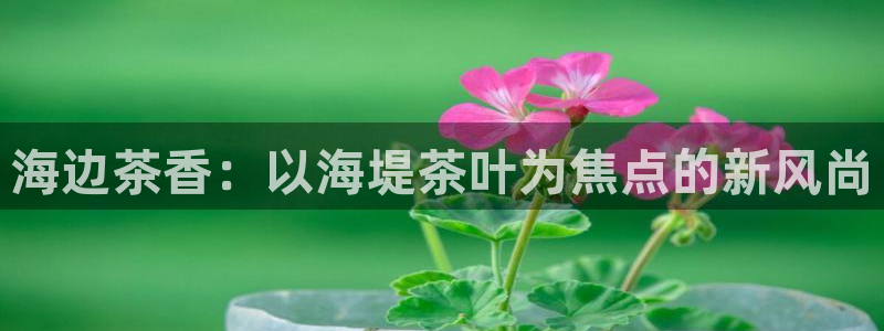 彩名堂好用还是千里马好用一点