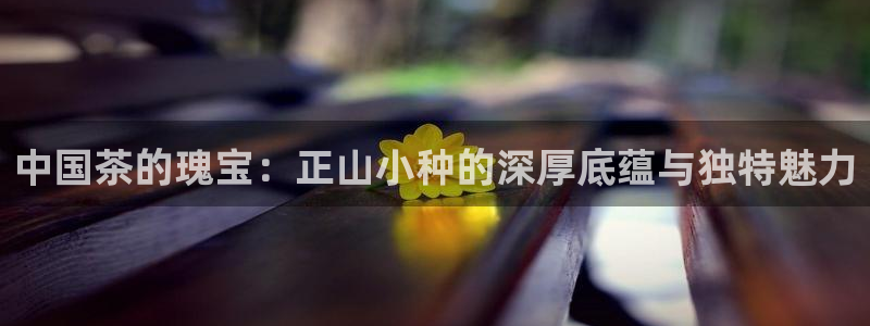 下载彩名堂预测计划软件安卓