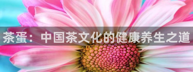 彩名堂计划官方客服