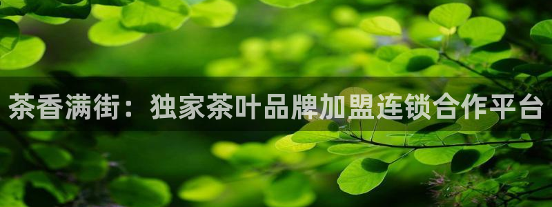 彩名堂一直不出结果怎么回事