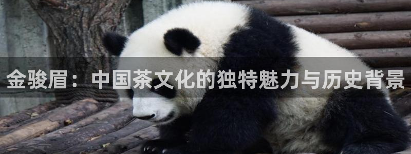 彩名堂最新免费计划官网