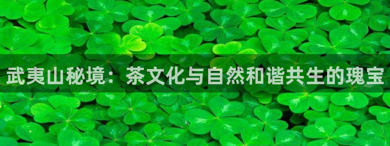 彩名堂预测免费计划怎么看的