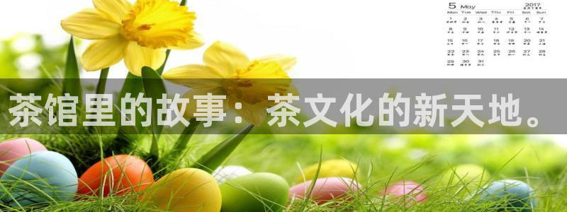 彩名堂5.0版计划怎么用不了