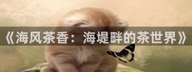 彩名堂官网2